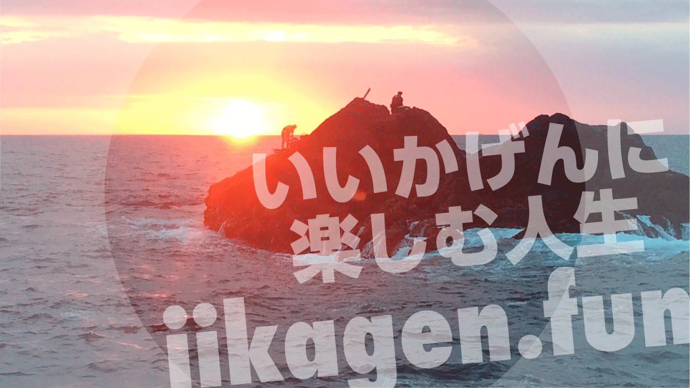 いいかげんに楽しむ人生